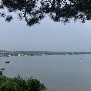 Meet your Posher, Eunice